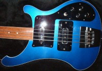 Rick 4003FL w hipshot 3.jpg