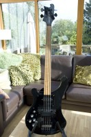 Rickenbacker4s.jpg