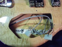 McGuinn 370-12RM electronics mounting point.jpg