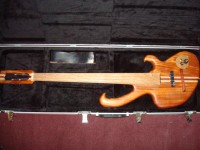 Wishbass 001.jpg