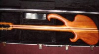 Wishbass 002.jpg