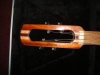 Wishbass 003.jpg