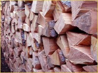 splitwood.jpg