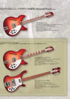 2010rickenbacker.jpg