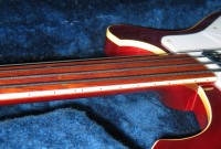 924003FL.JPG
