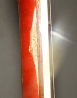 rico 013.JPG