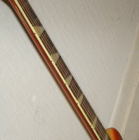 frets 015.JPG