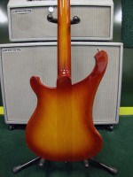 4003 Honey RRF2.jpg