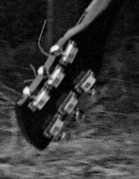 Marr Headstock back.jpg