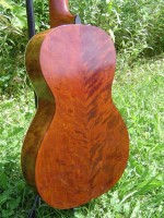 levin0013.jpg