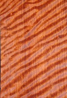 curly_bubinga.jpg