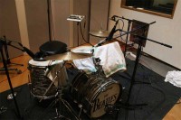 tea-towels-on-Ringo.jpg