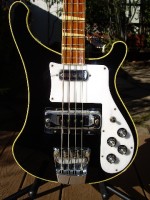 1973 4001 body