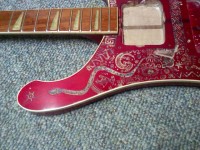 '75 donor rick D.jpg