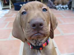 serious face.jpg