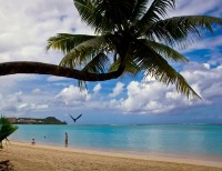 Sharkwater-in-Guam-ed_14.jpg