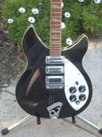 Close up of the Toasterized HGs, HB and the Oven Knobs in the garden
