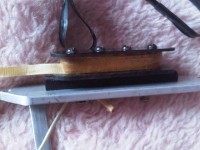 IMG01374-20110222-1445.jpg