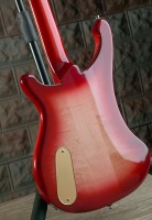 rear cover.jpg