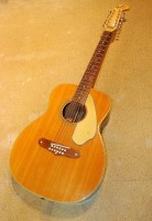 Fender Villager XII