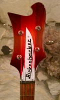 rps20110325_085845.jpg