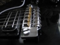Schaller bridge with brass saddles