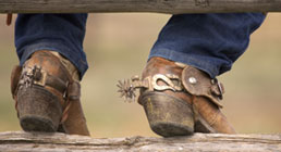 Western-Boots.jpg
