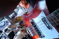 IMAG0249lr.jpg