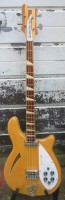 Ox4005web.jpg