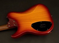 Custom 1 SN001-c.jpg
