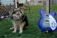 Karma and 2004 BBR.JPG