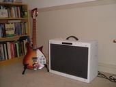 s rickenbacker.jpg