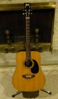 Greco F-140 Acoustic Guitar.jpg