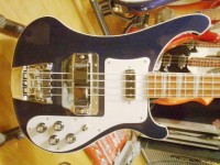 2010 4003 MID 001.JPG