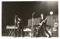 1966