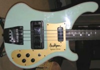 Marc Seligman 4001 pickguard.jpg
