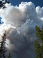 smoke.jpg