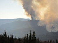 SmokeSouth.jpg