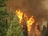 fire.jpg