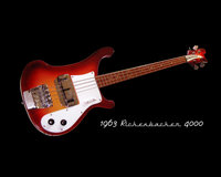 rickenbacker04_outline_black_title.jpg