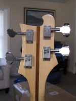 Back Headstock.jpg