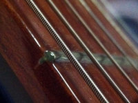fret1.jpg