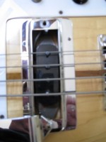 Bridge Pickup.jpg