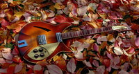 Fall004.JPG