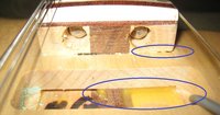 Fretboard separation + glue in pickup well