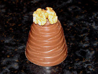 walnut whip 0502089.JPG