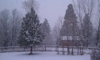 snow1.jpg