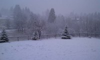 snow2.jpg