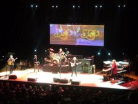 YES - Sheffield 2011.jpg