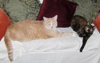 L to r: Angelo and Cheyenne